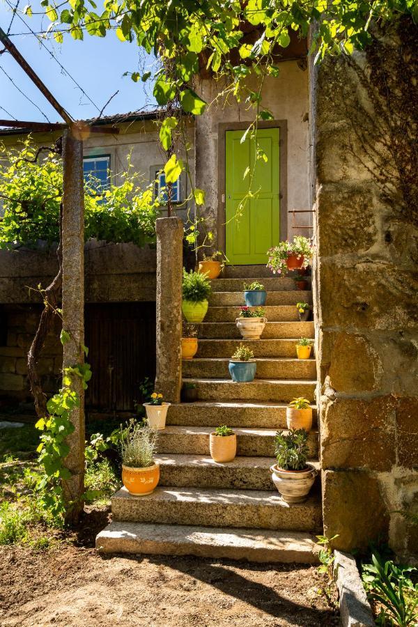 Vila Casas Casal De Nino Celorico De Basto Exteriér fotografie