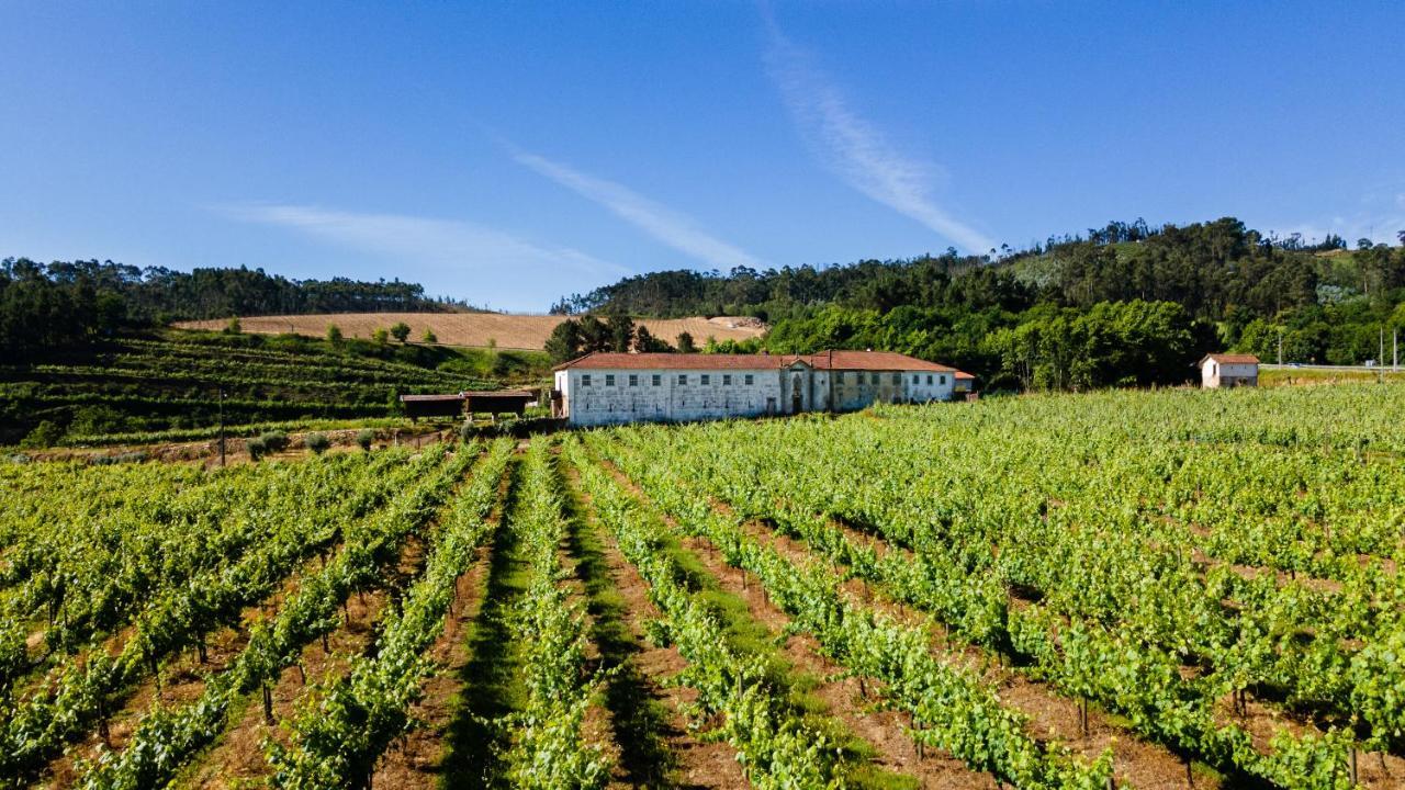 Vila Casas Casal De Nino Celorico De Basto Exteriér fotografie