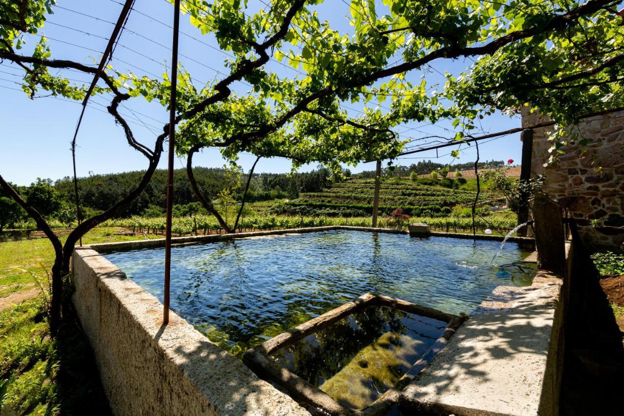 Vila Casas Casal De Nino Celorico De Basto Exteriér fotografie